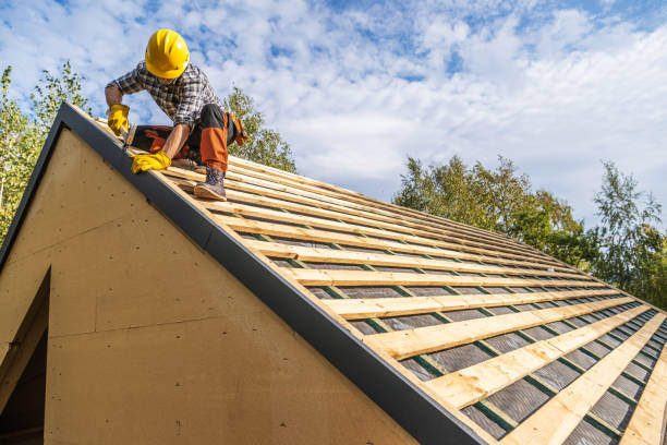 Roof Gutter Cleaning in Jessup, PA